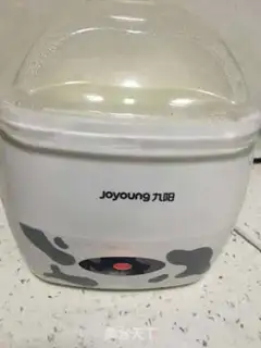 Make Homemade yogurt step 2