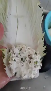 Make Cabbage step 12