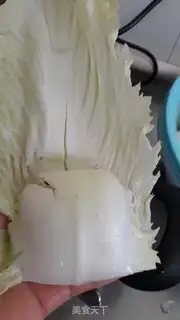 Make Cabbage step 13