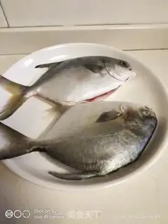 Make Redfish step 0