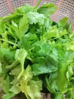 Make Celery leaves with wood step 0
