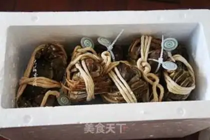 Make ♪ Vacuate the crabs ♪ step 0
