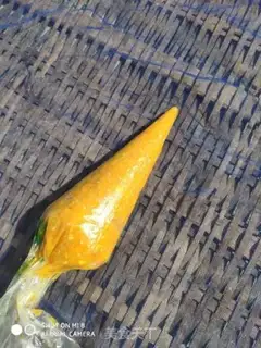 Make Potato sesame step 11