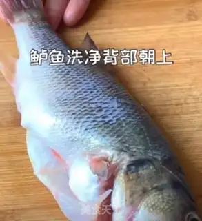 Make Cinderfish step 0