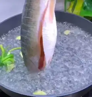 Make Pepperfish step 2