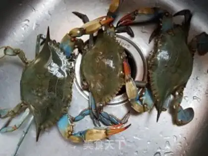 Make Crabs step 0