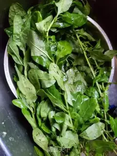 Make Scrawny broth step 0