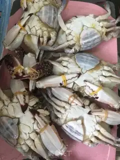 Make Crabs step 0