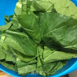 Make Squeeze step 2