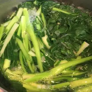 Make Squeeze step 5