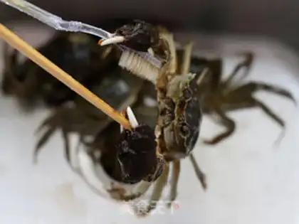 Make Fresh crabs step 1