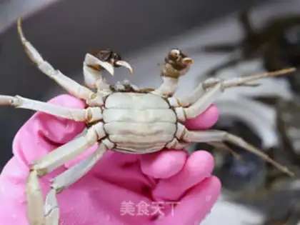 Make Fresh crabs step 5