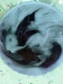 Make The radish step 0