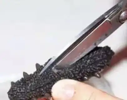 Make The bubble hair of dry sea cucumber step 1