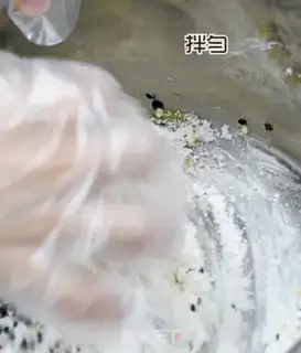 Make Teaseed oats step 3