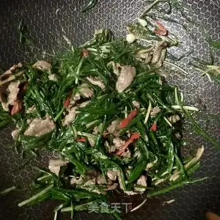 Make Wild onion beef step 16