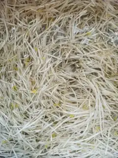 Make Green bean sprouts with sea ribbons step 0