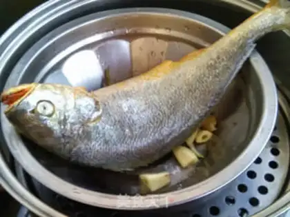 Make Vacuated yellowfish step 4