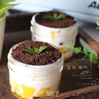Make Homemade yogurt step 8