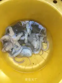 Make The octopus