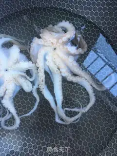 Make The octopus
