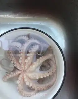 Make The octopus