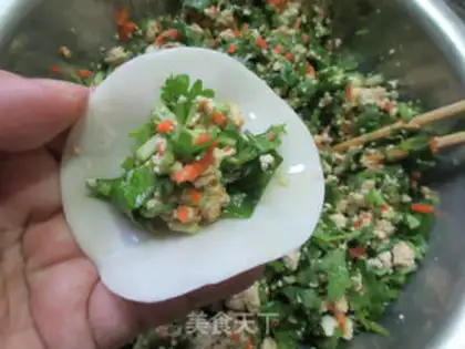 Make Carrot celery tofu dumplings step 8