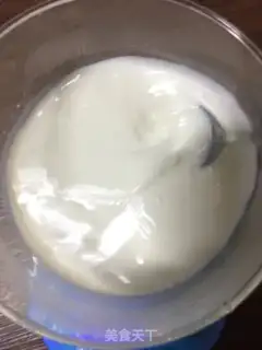 Make Yogurt step 3