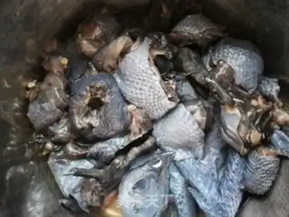 Make A rooster stewed with vermin step 0