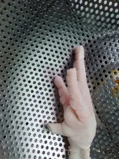 Make Weird chicken claws step 0