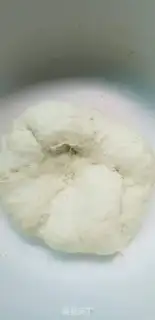 Make Meatloaf fan cabbage step 4