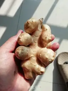 Make Spicy Ginger step 0