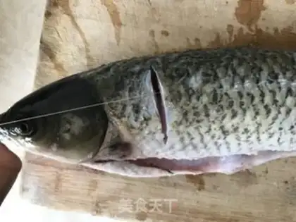 Make Homegrass fish step 0