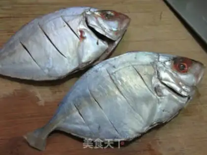 Make Squidfish step 2