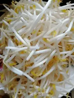 Make Noodle sprouts step 0