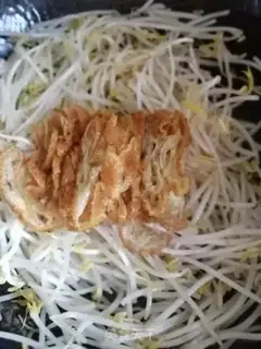 Make Noodle sprouts step 3