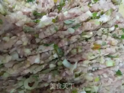 Make Onion pork dumplings step 2