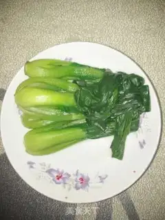 Make Guangdong step 4