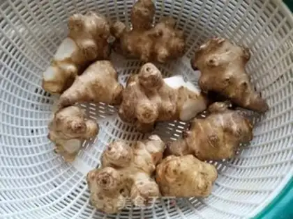 Make Chicken and ginger step 0