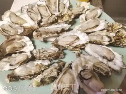 Make A garlic fan step 1