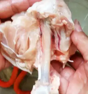 Make Chicken leg step 3