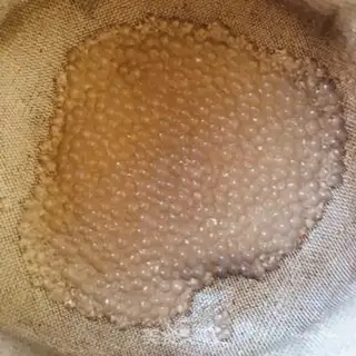 Make Hot coconut milk, west mango, west rice step 3