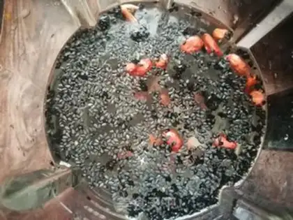 Make Black sesame peanut rice step 4