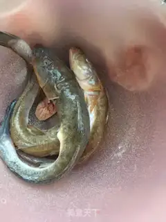 Make The catfish tofu step 0