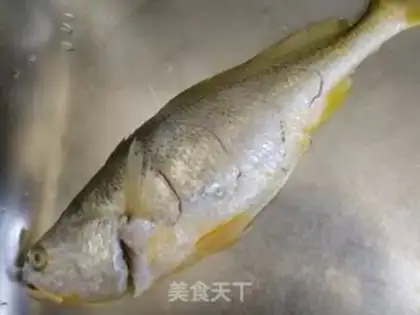 Make Squidfish step 1