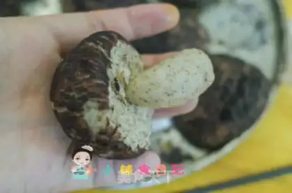 Make Smoky-coloured mushroom buns step 19