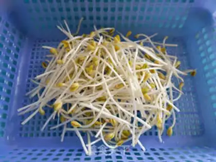 Make A wide-range dry river powder step 0