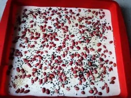 Make Bread step 6