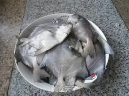 Make The crystalfish step 0