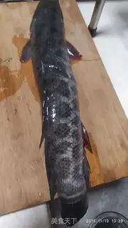 Make Blackfish skin step 0